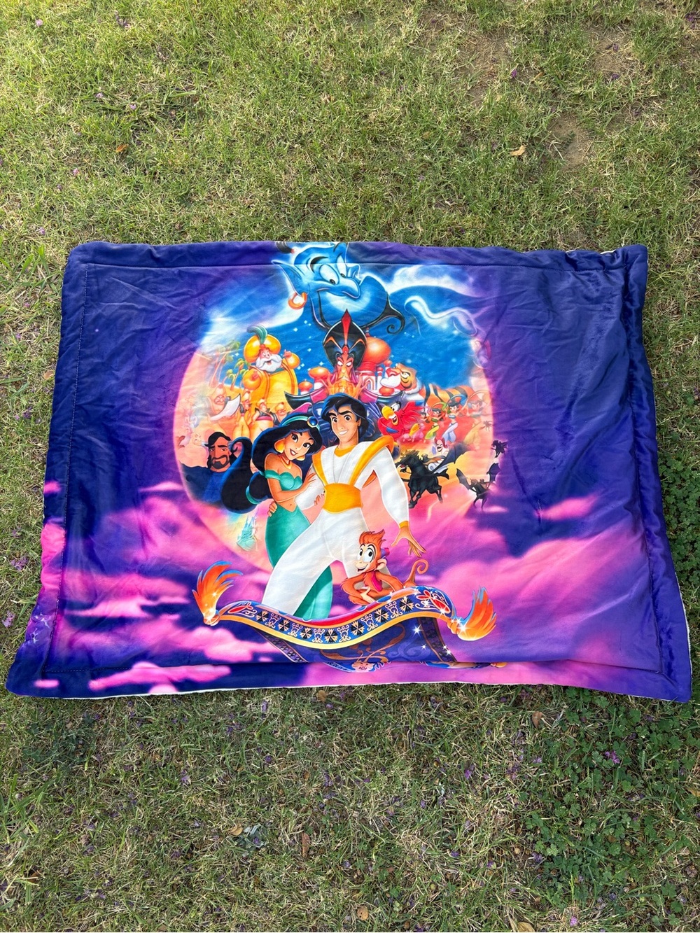 Vintage Aladdin Scene Blanket Soft Genie Magic Carpet Disney Y2K Soft Kidcore